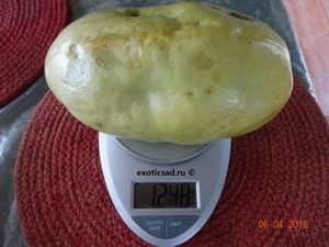 ��� ����� ���������� ����������.