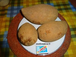 ����� ������ �����������