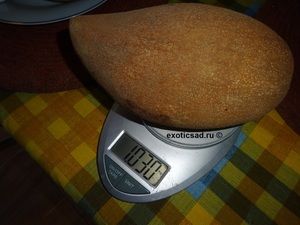 ��� ����� ������ �����������