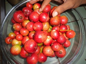 ������ ����� �����������