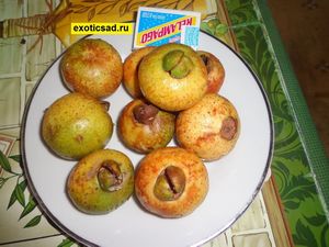 ����� �������������� - ������ �����