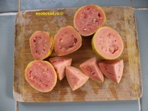 ������� �������������, ����� � �������