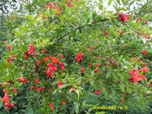 �������� ����� ������� ������.