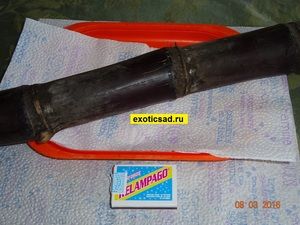 ������ ������� ��������� ���������