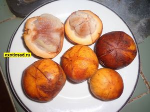 ����� �������