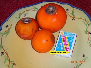 ����� ����������