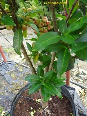 �������� ���������������� � ����������