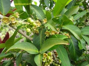 ������ ��������� �����������������