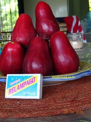 ����� ��������� �����������