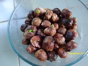 ������ ��������� �����������