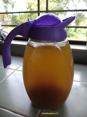 ��� �� ���������