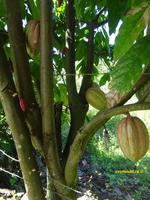 ����� ����� �� ������