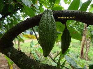 �������� ����� ����� �� ������