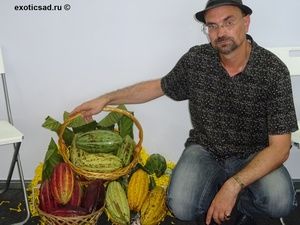 ������ ����� �����