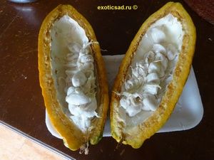 ����� ����� � �������