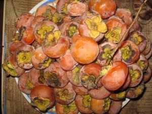 ����� ���������� ���� ���������, ����������� ����