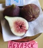 �����. ���� ��������� ����������