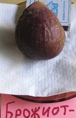 �����. ���� ��������� ����