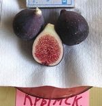 �����. ���� �������� ������