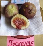 �����. ���� ��������