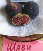 �����. ���� ���� �����