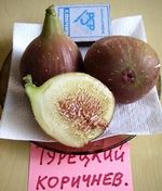 �����. ���� �������� ����������