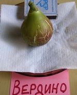 �����. ���� �������