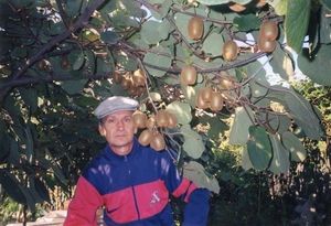 ���� �� �������