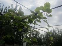 ���� � �������� ������