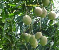 ����� - ����� ����� �������� �� ������