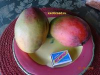 ����� ����� ����� ����