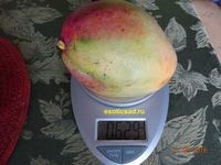 ��� ����� ����� ����� ����