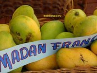 ����� ����� ����� ����� �������