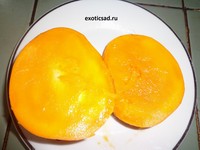 ������ ����� ����� ����� �������