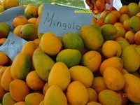 ������ ����� ����� �������