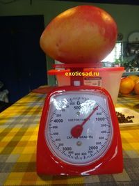 ��� ����� ����� ����� ����� ������