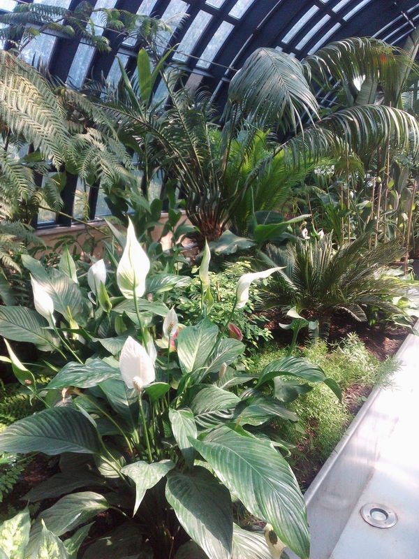 ������ ��� � ������� ����