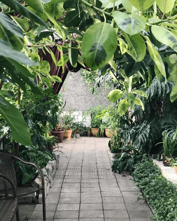 ������ ��� � ����