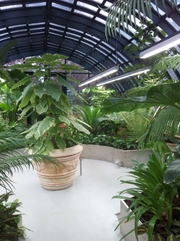 ��������� ������� ����